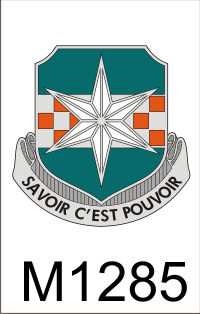 313_military_intelligence_battalion_dui.png (40120 bytes)