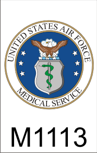 air_force_medical_service_seal_dui.png (51747 bytes)