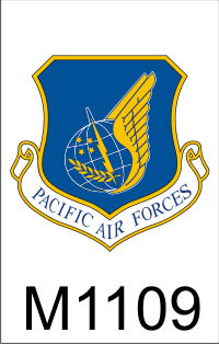pacific_air_forces_dui.png (44940 bytes)