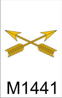 special_forces_branch_dui.png (23088 bytes)