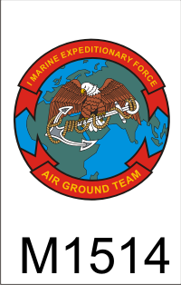 1st_marine_expeditionary_force_emblem_dui.png (51861 bytes)