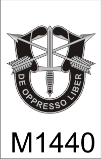 1st_special_forces_dui.png (40344 bytes)