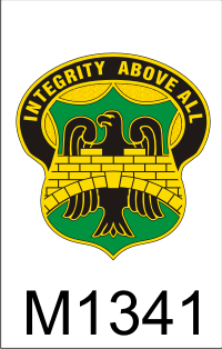 22nd_military_police_battalion_dui.png (46603 bytes)