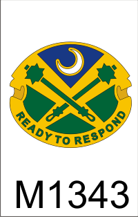 51st_military_police_battalion_dui.png (39236 bytes)