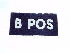 B POS BLOOD TYPE.png (21995 bytes)