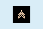 RANK PATCH CAPTAIN 2X2.png (899 bytes)