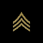 RANK PATCH GOLD ON MB.png (2604 bytes)