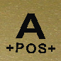 RANK PATCH MB ON GOLD.png (14612 bytes)