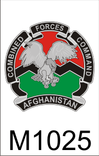 combined _forces_command_afghanistan_1_dui.png (53297 bytes)