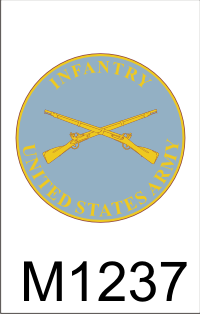 infantry_plaque_dui.png (33409 bytes)