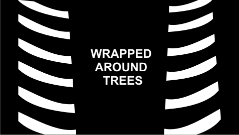 perimeter tape around tree