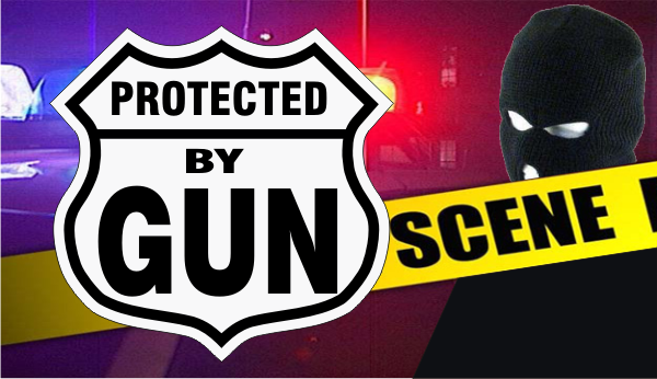 protected by gun large.png (251942 bytes)
