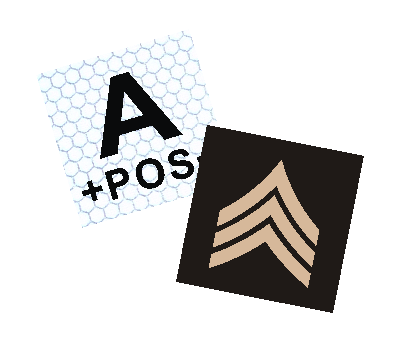 rank patch picture 400.png (53852 bytes)