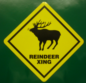 Reflective reindeer xing sign